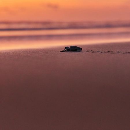 Отель One Acapulco Diamante Экстерьер фото